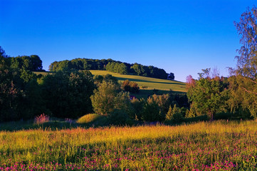 Hügel Lichtung