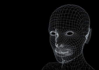 Wireframe young woman head