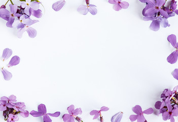 Naklejka na ściany i meble Purple flowers on white marble background with room for text