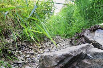 Notstand am Wiesenbach: ausgetrockneter Vlattener Bach in der Voreifel nach Schönwetterperiode im Sommer.