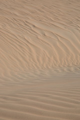 Sand Dune