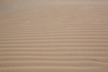 Sand Dune