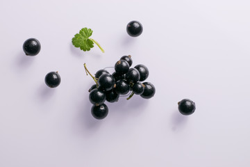 Black currant on a white background