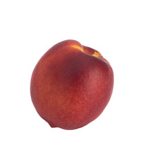 Nectarine on a white background