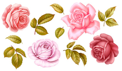 Vector floral set of pink red blue white vintage rose flowers green golden leaves isolated on white background. Digital watercolor illustration.