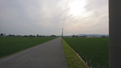 日本の田舎道