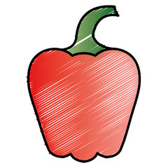 pepper fresh vegetable icon vector illustration design