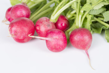 Fresh bunch of radish on white background.