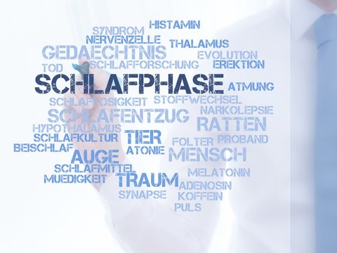 Schlafphase