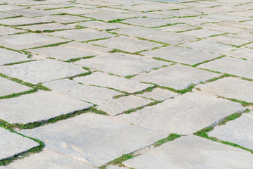 Stone footpath pattern with green grass in perspective background for interior design.