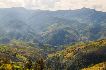 Naklejka premium Złote Pole Ryżowe, piękne naturalne piękno na górze w Nan Khun Nan Rice Terraces w prowincji Nan w Tajlandii