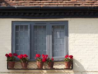 Flowers in window box on residential property