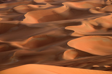 Fototapeta na wymiar Desert Art