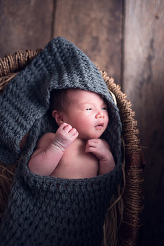 13day newborn with beautiful photo