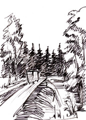 Instant sketch, forest