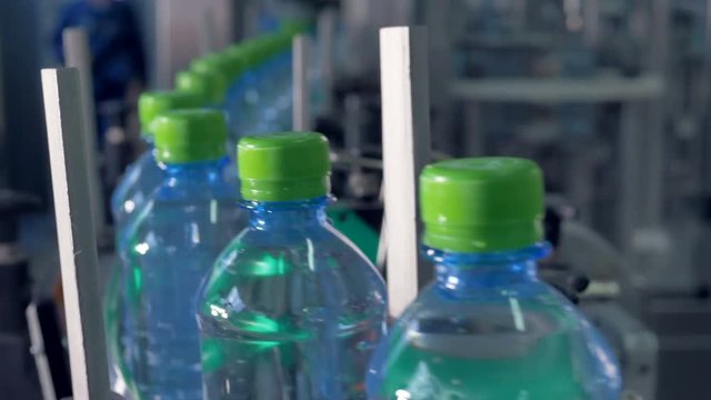 Green-capped bottles moving  for packaging.