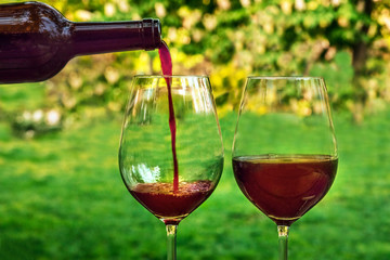 Red wine poured into glass at picnic, with copyspace
