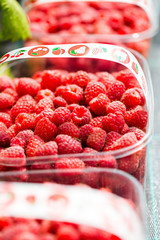 Fresh raw hand picked raspberries in plastic boxes