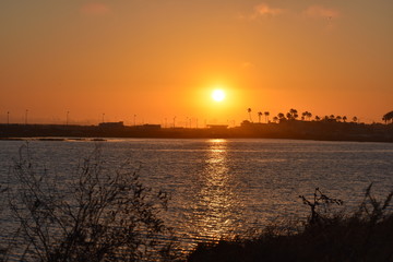 Naklejka premium Natural