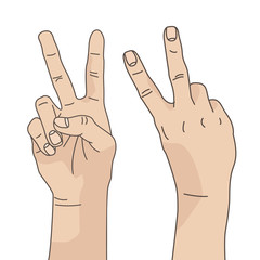Two hands showing two fingers. Hand from the front and back. Victory, peace sign
