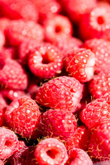 Full frame raspberries macro pink red background