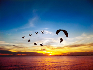 silhouette flying birds and paramotor over sea and sunset sky