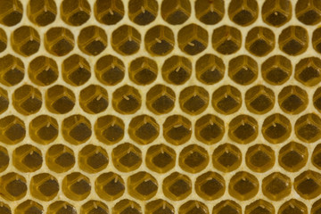 Eggs in honeycombs