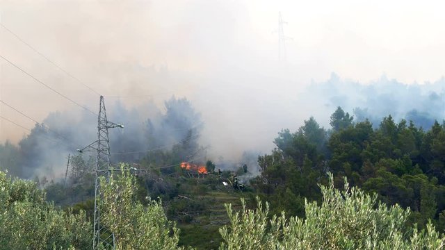 Firefighters fighting against fire in pine tree forest near electricity power line