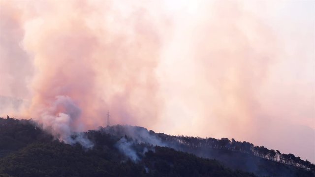 Large forest fire burning in forest in Croatia