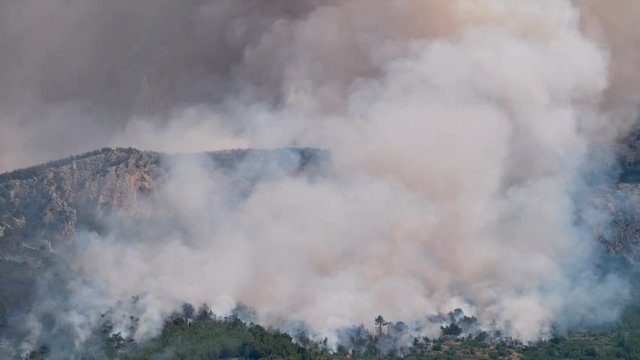 Large pine tree forest fire below mountain Biokovo in Croatia