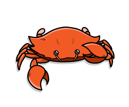 Crab Cartoon Illustration, a hand drawn vector doodle of a crab  with big pincers.