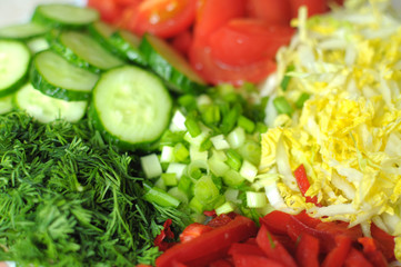 Fresh organic sliced vegetables on the white plate on the wooden table. Close up, selective focus.