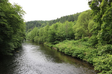 Fototapeta na wymiar Naturlandschaft am Fluss Wupper