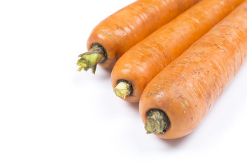 Carrots isolated on the white background.