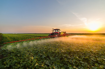 Tractor spraying vegetable field at spring © Dusan Kostic
