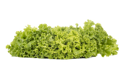 Fresh Lettuce, and closeup of the leaf isolated on white background.