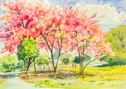 watercolor original landscape painting pink color of wild himalayan cherry tree flowers in sky and cloud background