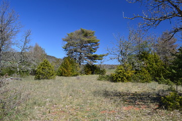 Nature en Aveyron