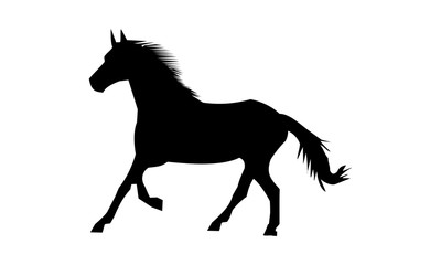 silhouette horse ran