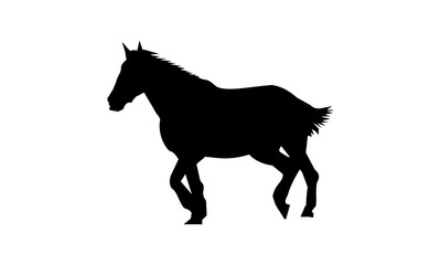 vector of horse