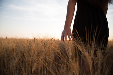 Ragazza sta accarezzando delle spighe di grano in un campo al tramonto © Polonio Video