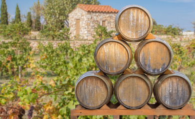  tonneaux sur fond de vigne