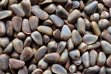 Brown Korean cedar nuts texture to background
