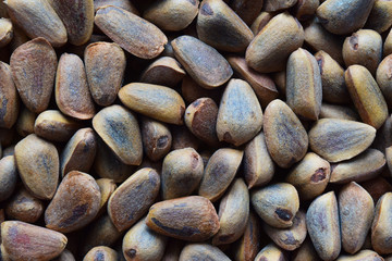Closeup of brown Korean cedar nuts texture to background