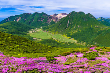 くじゅう 平治岳_大船山と並んで6月にはミヤマキリシマの「天空のお花畑」となる、北面の吉部登山口からのコースもミツバツツジや秋の紅葉が美しい