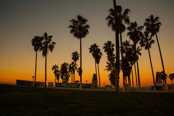Venice Beach - 162038632