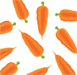 Vegetable carrot on white