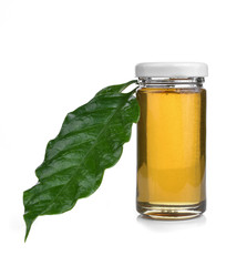 Honey, coffee flowers on white