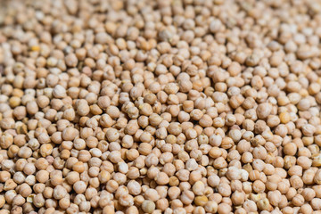 fresh dry chickpeas