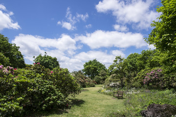 Fototapeta na wymiar 初夏の庭園